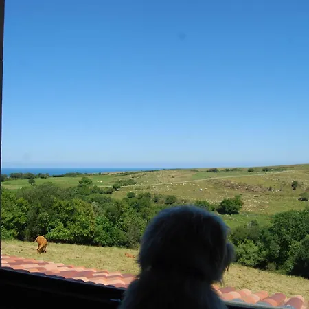 Rio Loba Costa Cantabria *