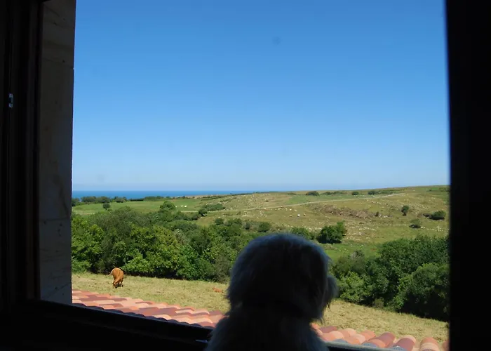 Rio Loba Costa Cantabria *