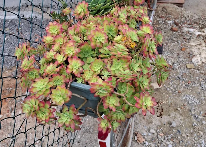 Appartement Rio Loba Costa Cantabria Ruiloba