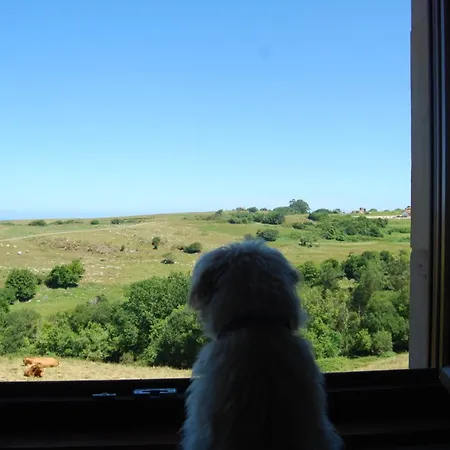 Rio Loba Costa Cantabria *