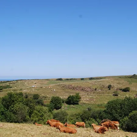 Rio Loba Costa Cantabria Appartement Ruiloba