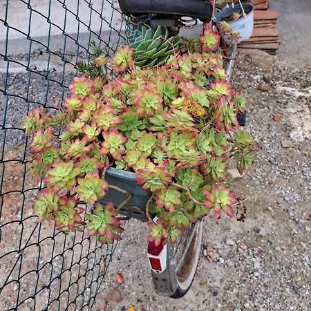 Appartement Rio Loba Costa Cantabria Ruiloba