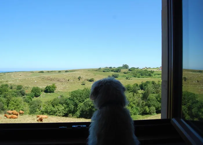 Rio Loba Costa Cantabria *