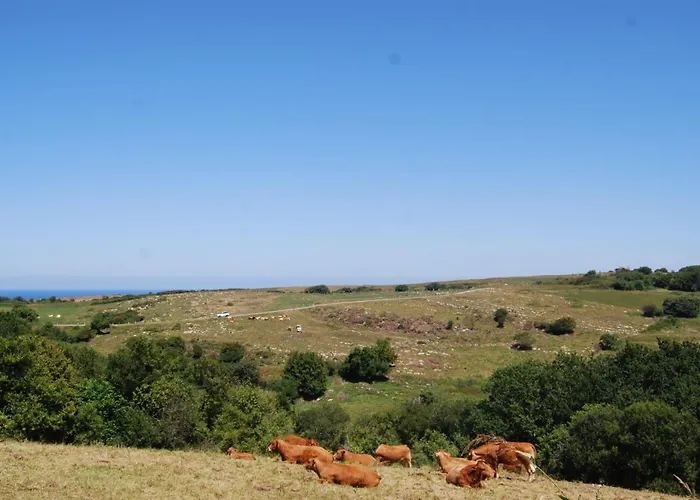 Rio Loba Costa Cantabria Apartmán Ruiloba